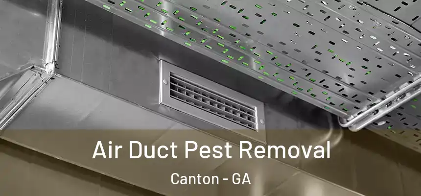  Air Duct Pest Removal Canton - GA