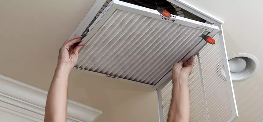 Preventive Cockroach-Proofing for Ducts in Canton