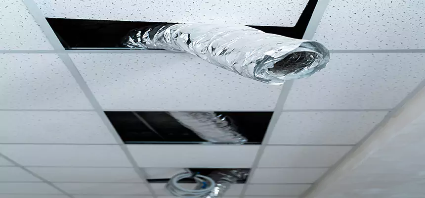 Affordable HVAC Sanitizing After Pest Removal in Canton