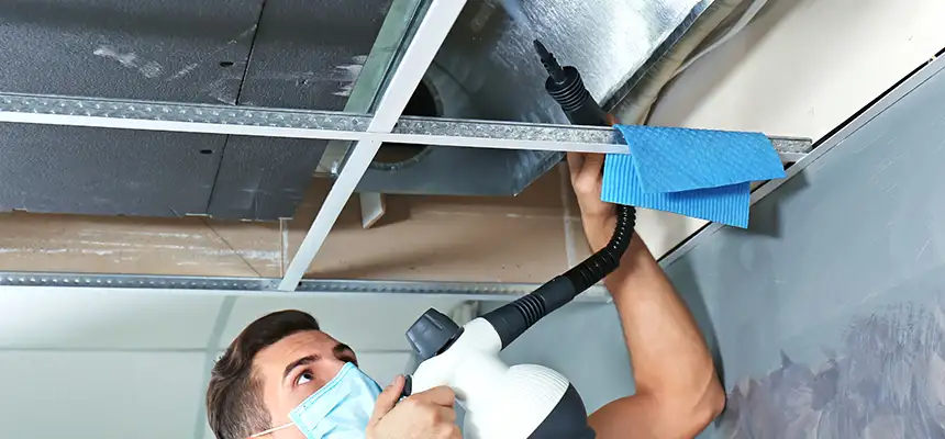 Our Air Duct Rodent Removal Services in Canton, GA