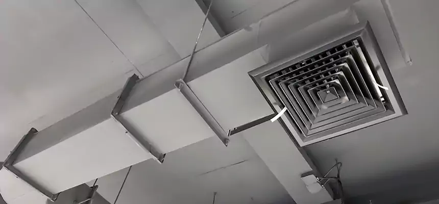 Our Pest Removal From Ducts Services in Canton, GA