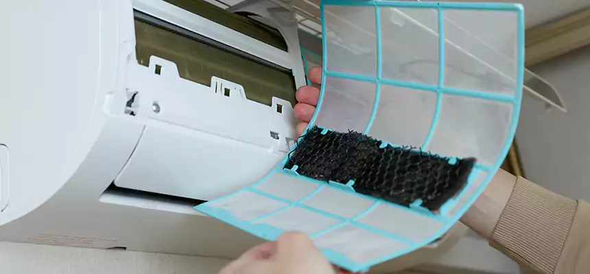 Gentle Ductwork Odor-Control Pet Dander Duct Cleaning in Canton, GA