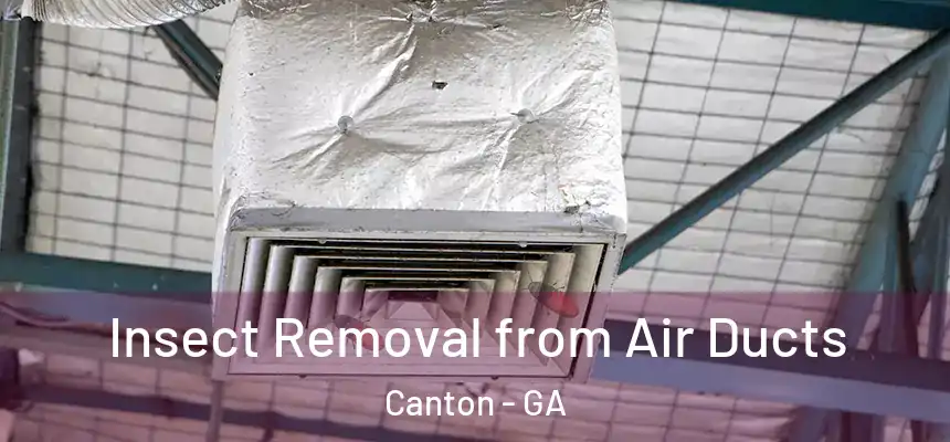  Insect Removal from Air Ducts Canton - GA