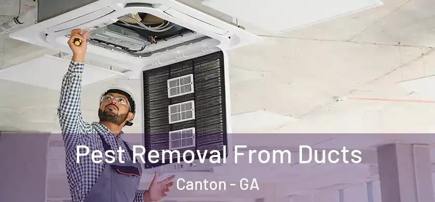  Pest Removal From Ducts Canton - GA