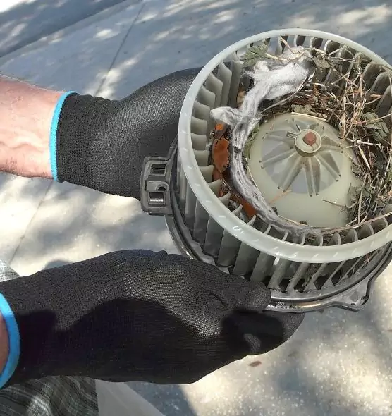 About Air Duct Mice Removal in Canton, GA