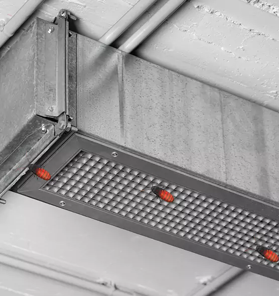 Affordable Insect Removal from Air Ducts in Canton, GA