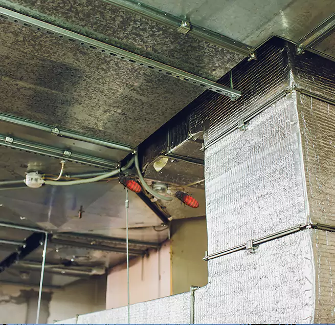 Why Homeowners & Businesses Trust Us in Canton, GA?