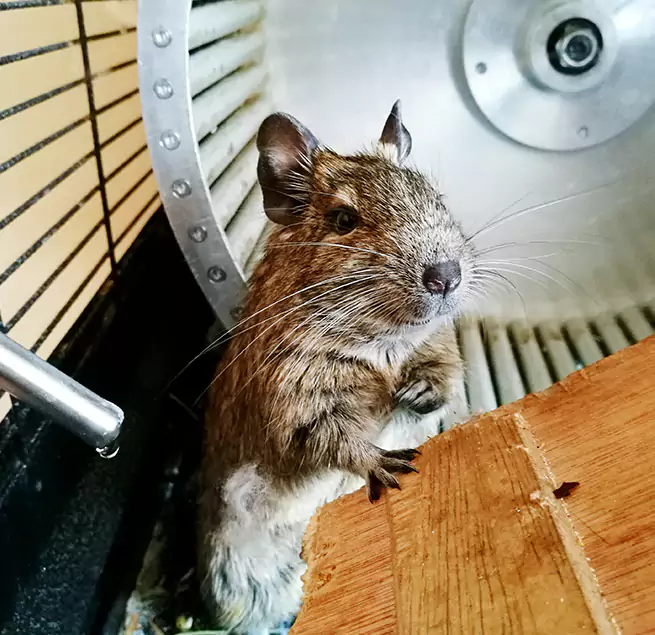 Why Homeowners & Businesses Trust Us Canton, GA?