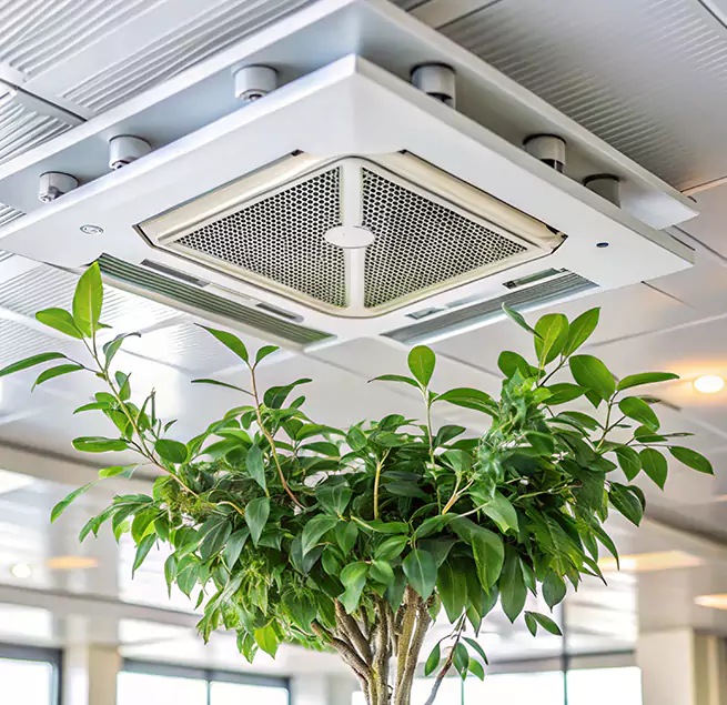 Why Homeowners & Businesses Trust Us in Canton, GA